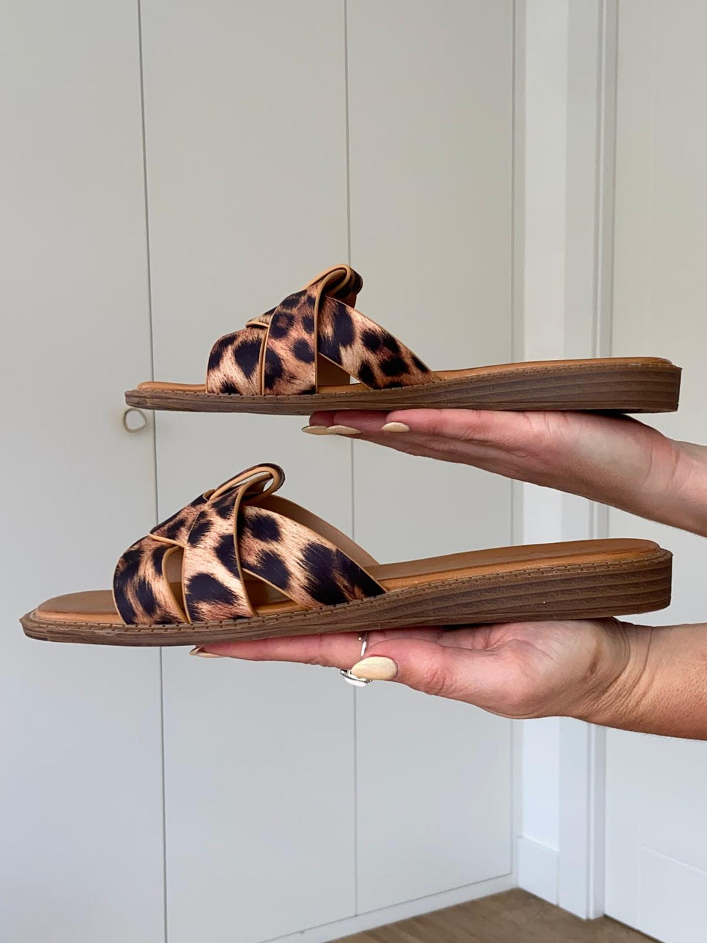 Palas Leopardo